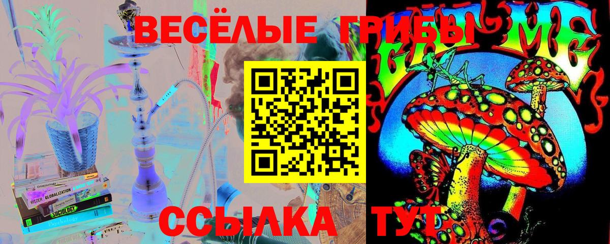 Псилоцибиновые грибы Magic Shrooms  Вход с VPN  Кубинка  Галлюциногенные грибы Psilocybe 